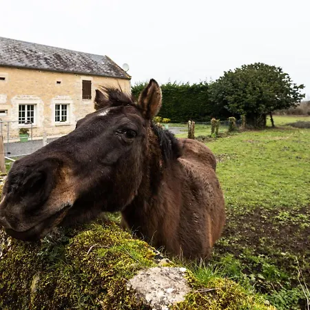 펜션 Le Clos Renard By Interhome Commes