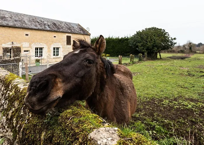 Сasa de vacaciones Le Clos Renard By Interhome Commes